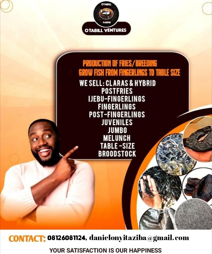 OTABILL VENTURES Logo